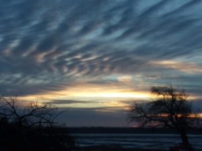 New Beginning from Failure: (Re-)Starting My Self-Sufficiency Journey Image